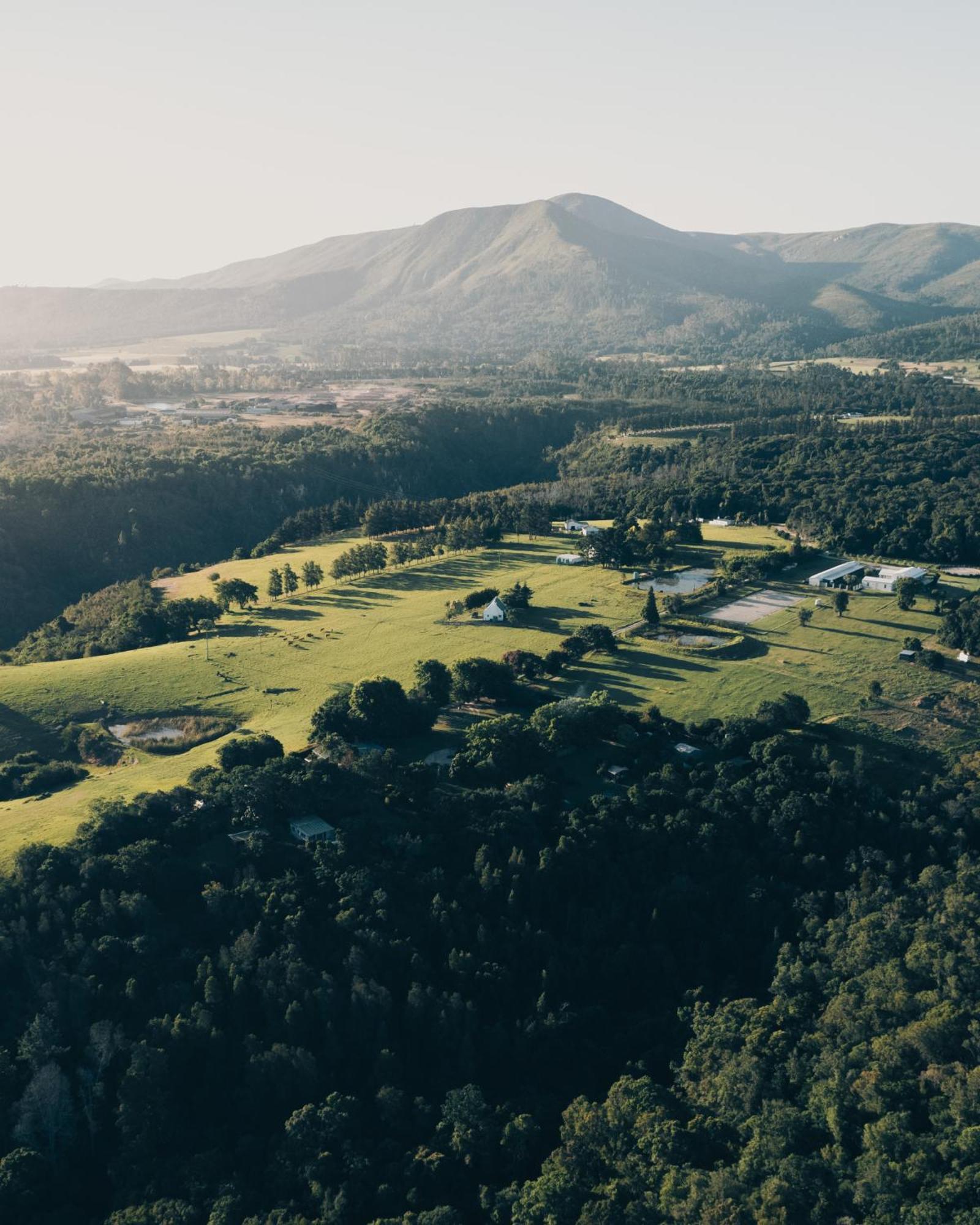 Firefly Falls Plettenberg Bay Esterno foto