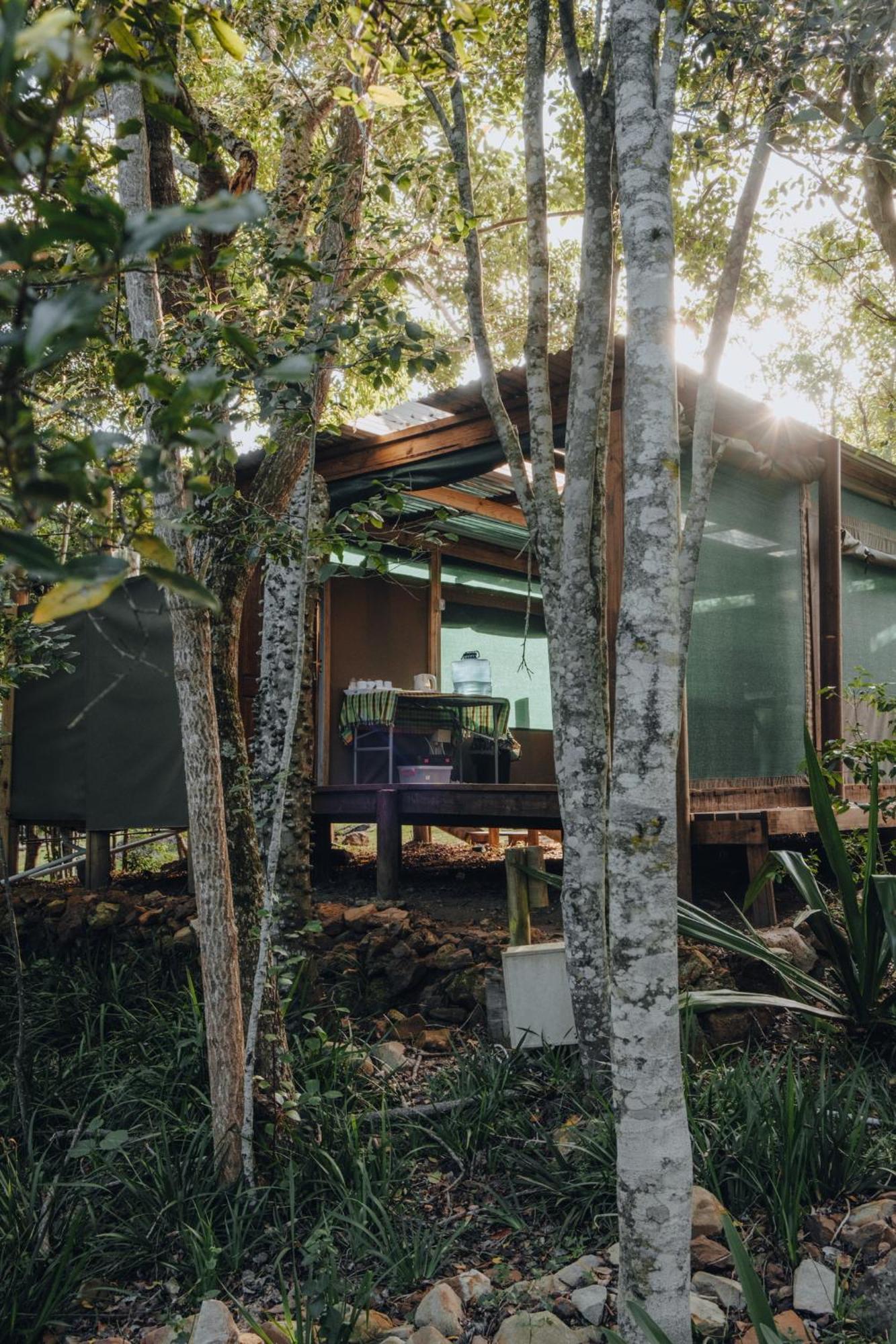 Firefly Falls Plettenberg Bay Esterno foto