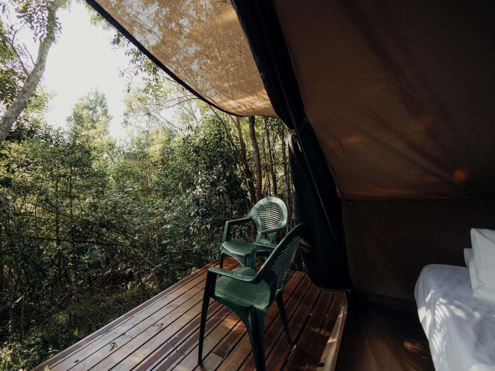 Firefly Falls Plettenberg Bay Esterno foto