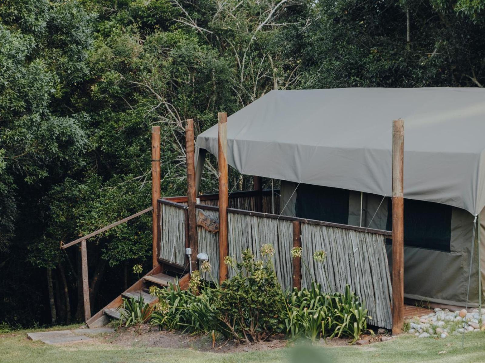 Firefly Falls Plettenberg Bay Esterno foto
