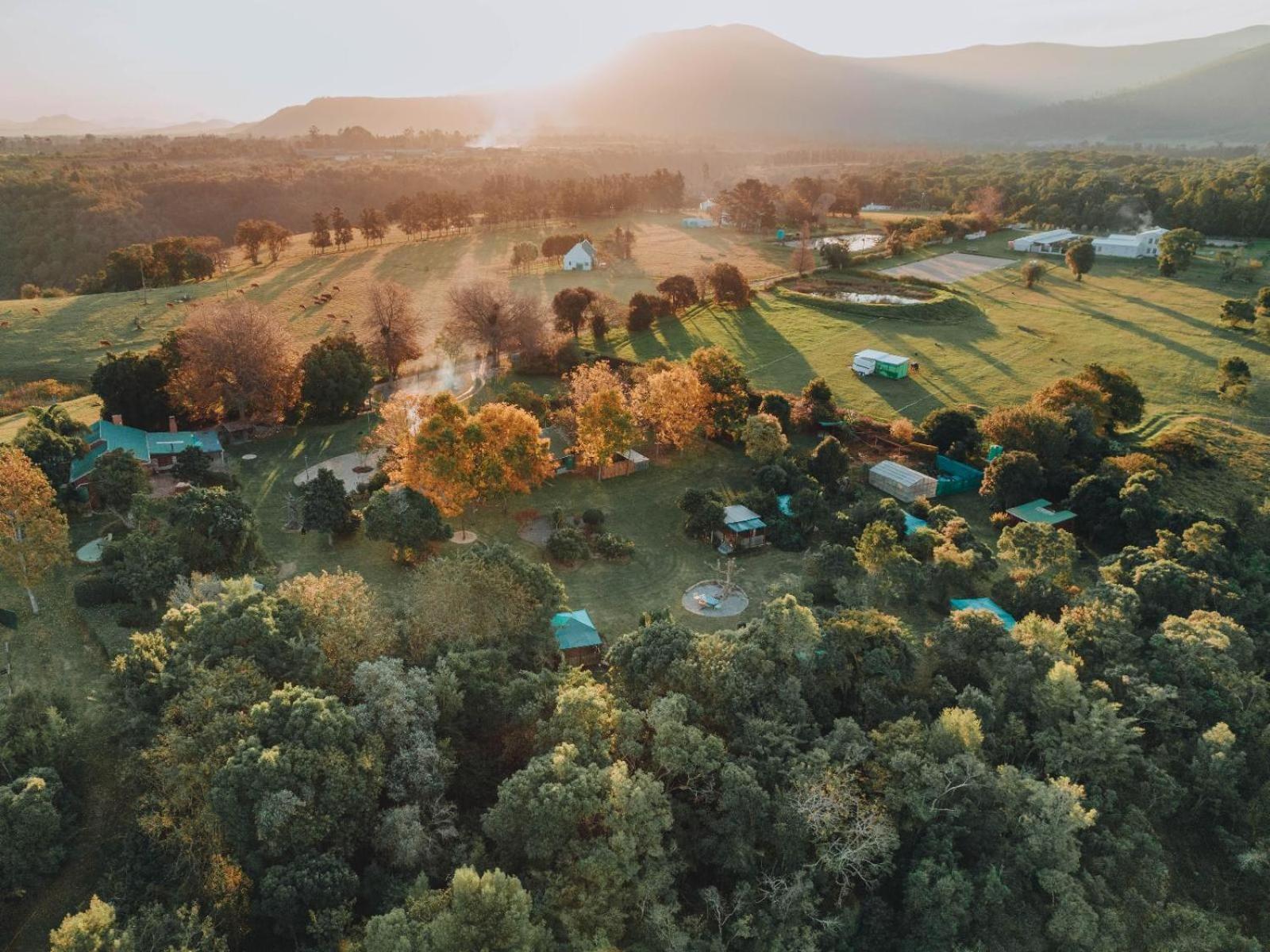 Firefly Falls Plettenberg Bay Esterno foto