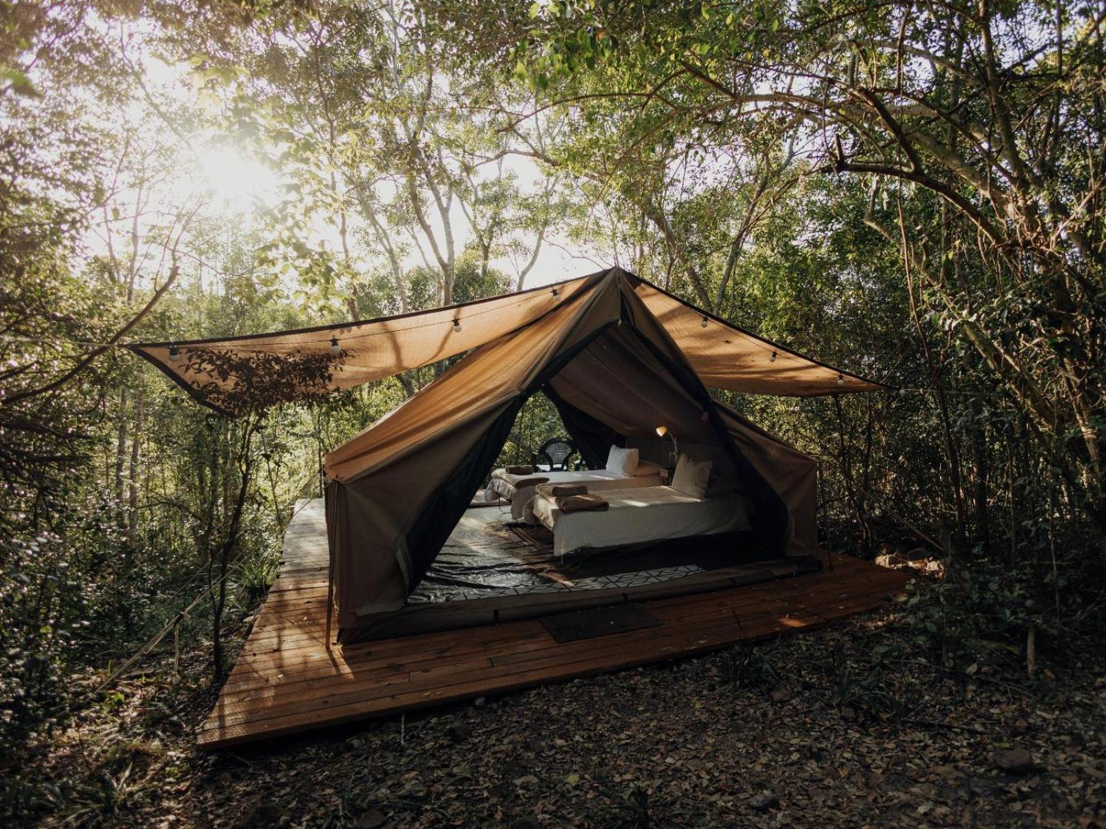 Firefly Falls Plettenberg Bay Esterno foto